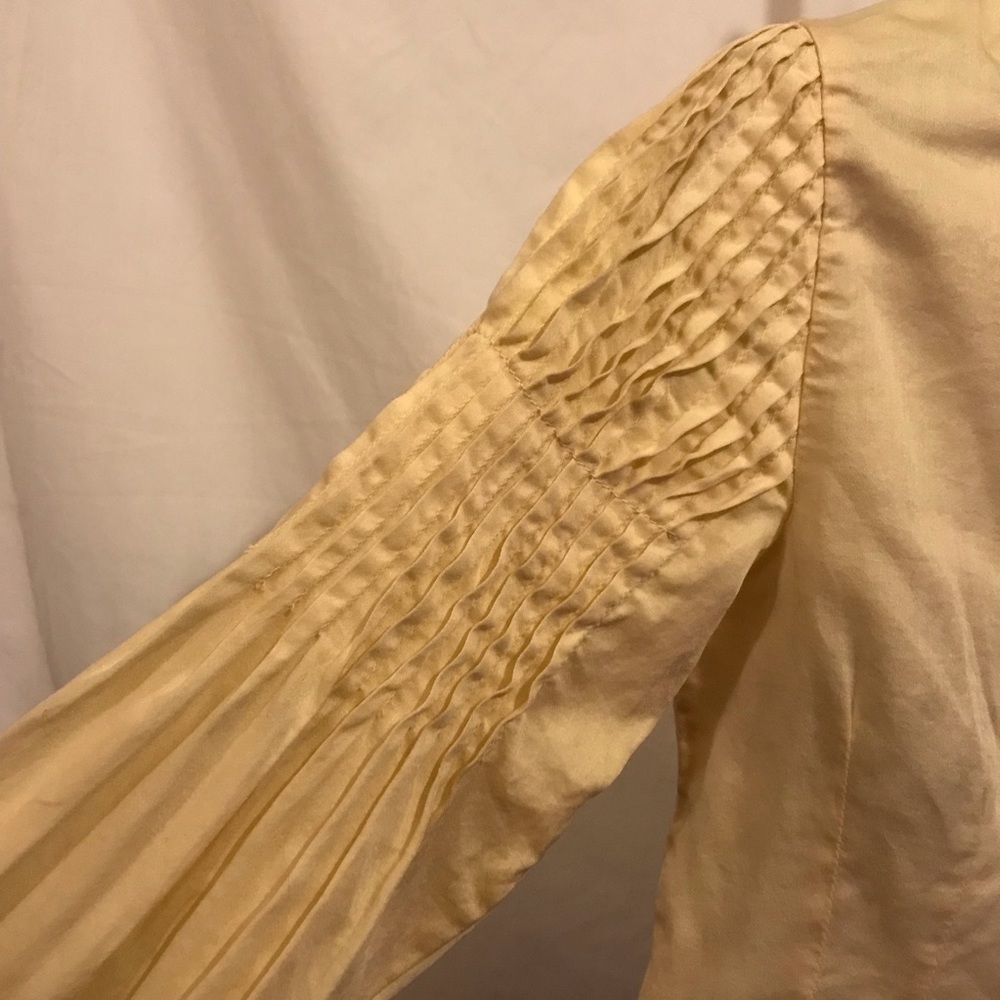🦋 European Culture Button Down Ruffled Sleeve - Picture 4 of 5